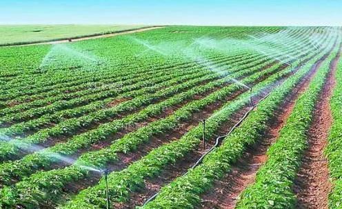 被黑人操哭视频农田高 效节水灌溉